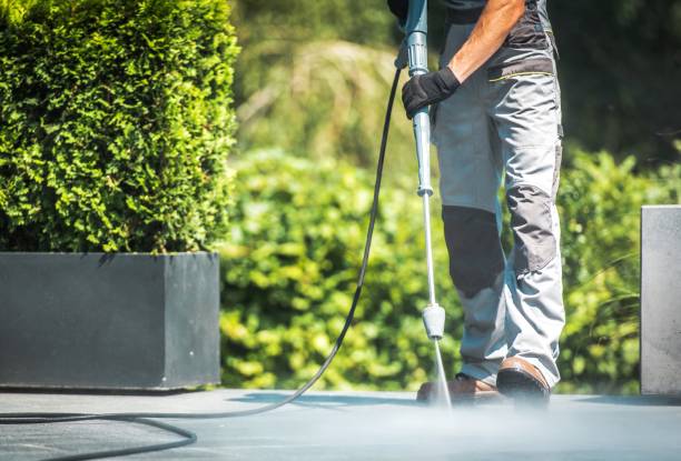 Best Fence Cleaning  in Roman Forest, TX