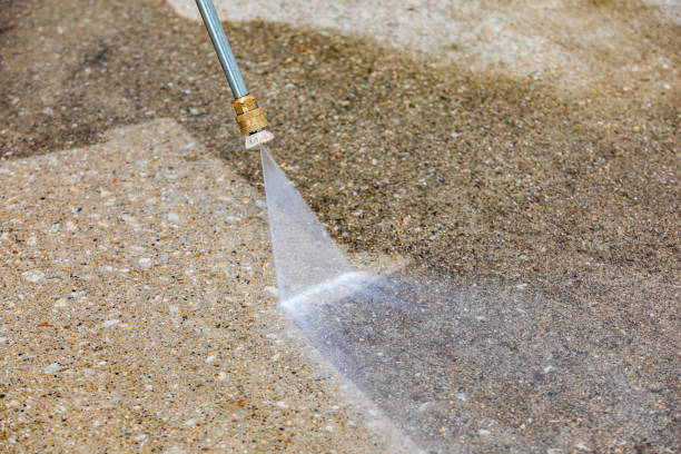 Best Dumpster Area Cleaning  in Roman Forest, TX