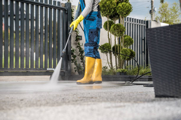 Best Rust Removal  in Roman Forest, TX